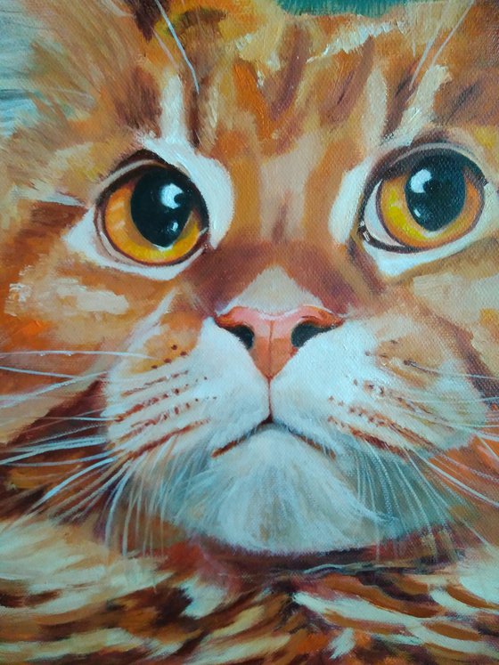 Red cat Maine Coon, 45x50 cm, ready to hang.