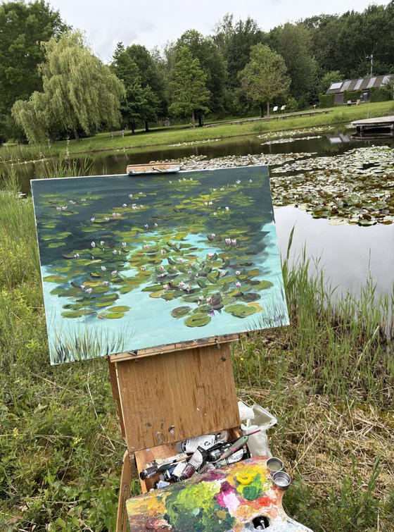 Water Lilies on the Quiet Pond