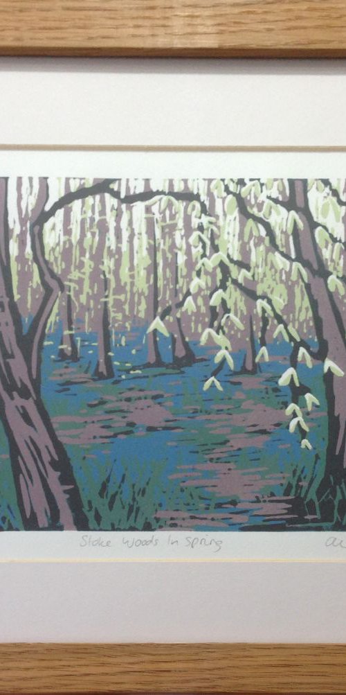 Stoke Woods in Spring, framed by Alexandra Buckle