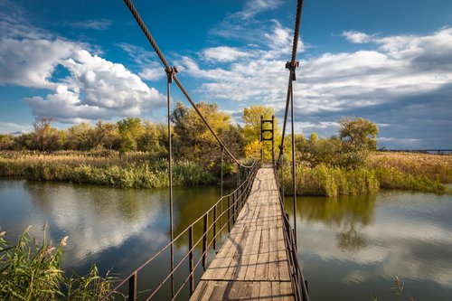 The Bridge by Vlad Durniev
