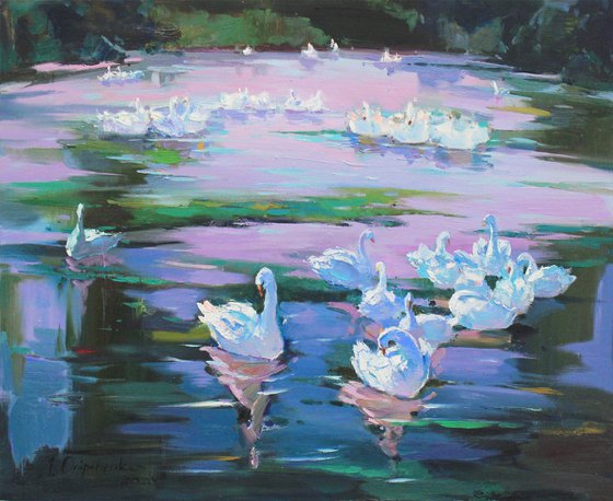 "Swan lake"