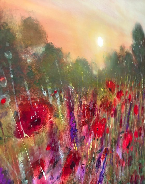 Poppy Garden Dream