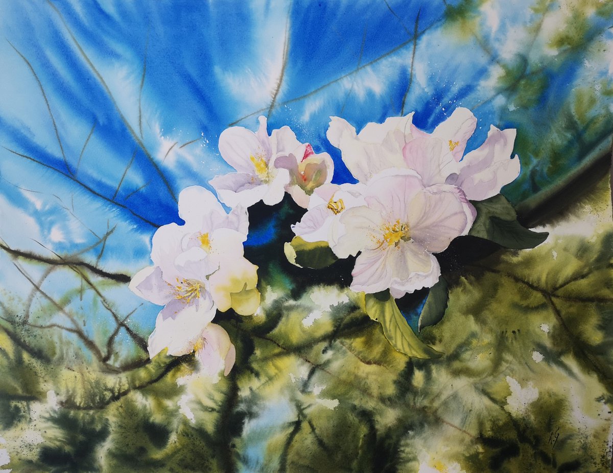 Impressionistic Botanical Watercolour By Aneta Gajos, 30 X 22, Spring Blossom, Original Artwork