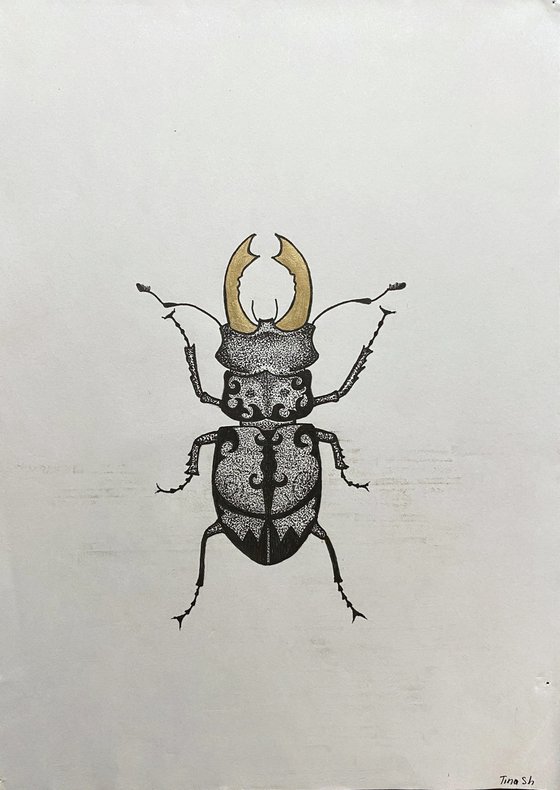 Beetle with golden horns
