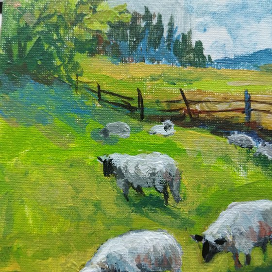 Scottish landscape with sheep