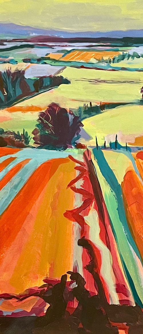 Cotswold Way, South Gloucestershire by Annie Meier