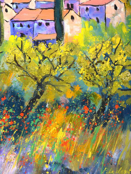 Provence 6724