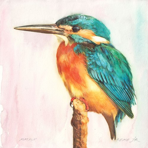 Kingfisher IX by REME Jr.