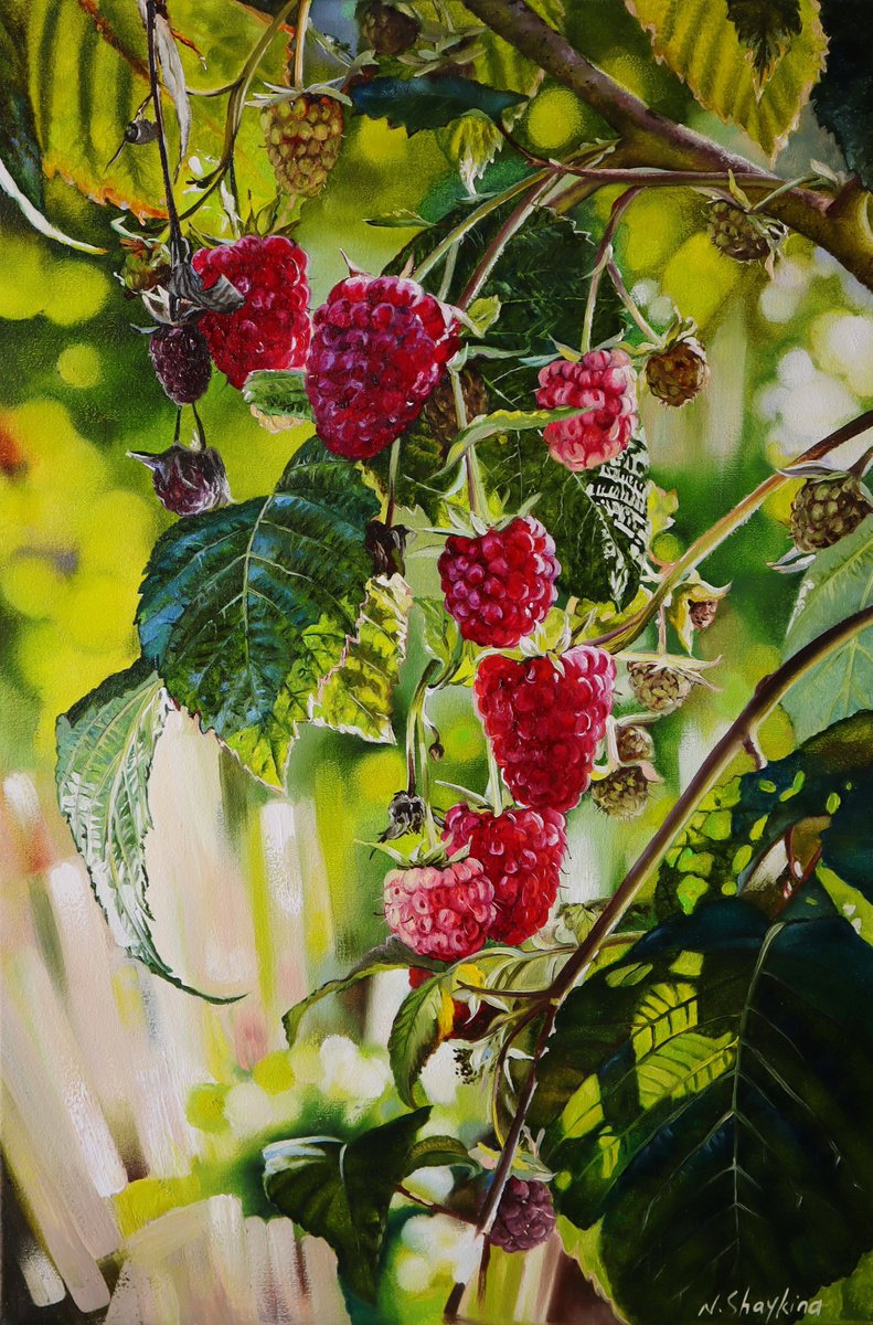 Raspberry. Garden Scene by Natalia Shaykina