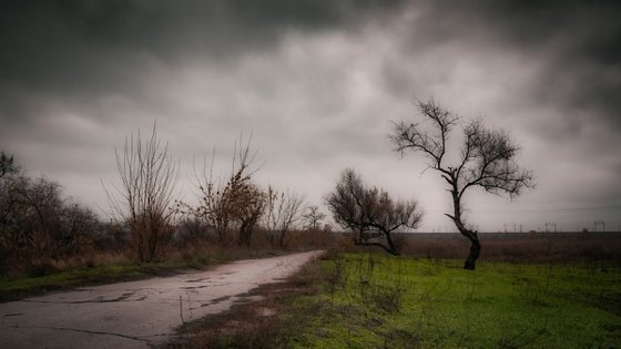 Cloudy November Day