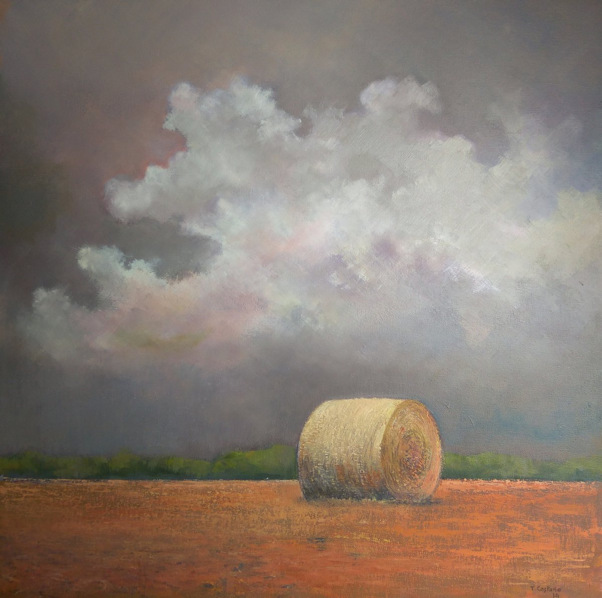 Cielo de tormenta en tierras de Castilla by TOMAS CASTAAO