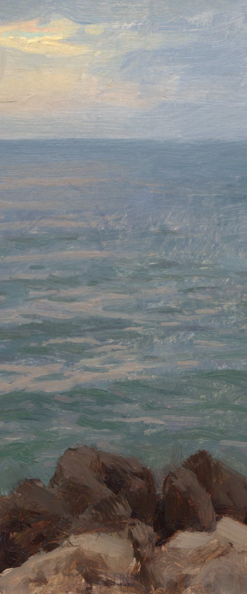 Waves at Sunset by Daniel Thoms