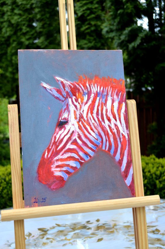 Zebra in red