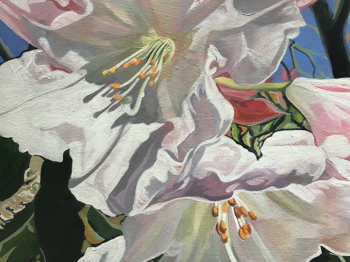 Impressionistic Botanical Acrylic Painting By Joseph Lynch, 20 X 20, Rododendron Blossom, Original Artwork