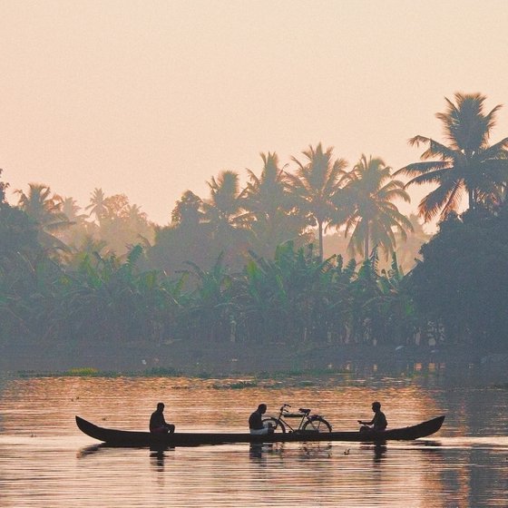 Tranquil Tropical Waters: A Kerala Morning - Landscape Art Photo