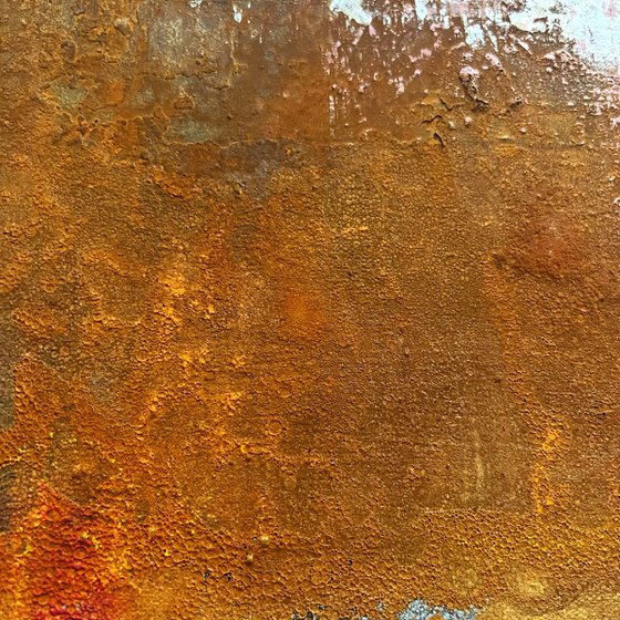 Dividing Light
