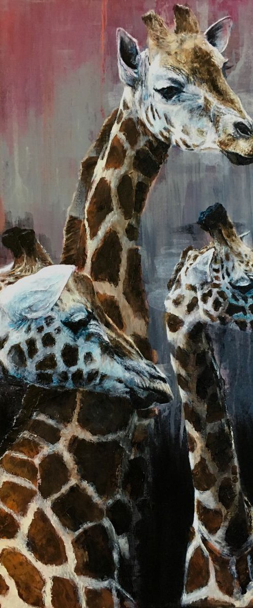 Giraffes in grey, original painting, orange by Paul Hardern