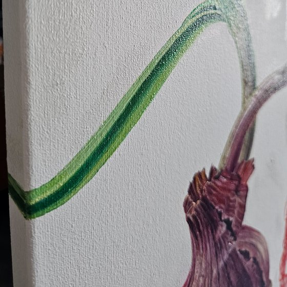 Spring Transformations