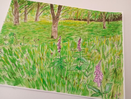 Foxgloves Forest - 7.9 x 5.9