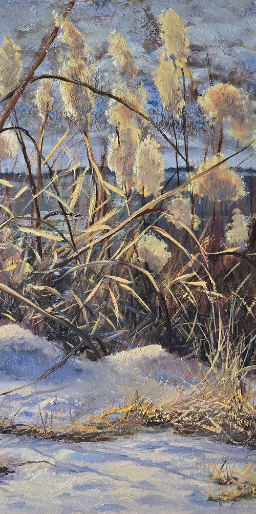 Warm February by Vladimir Jarmolo