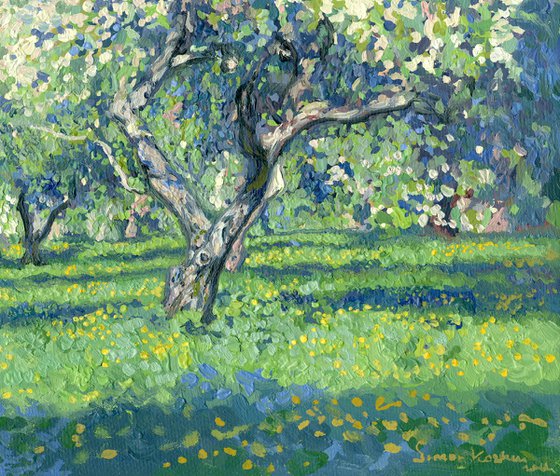 Apple tree in bloom. Kolomenskoye