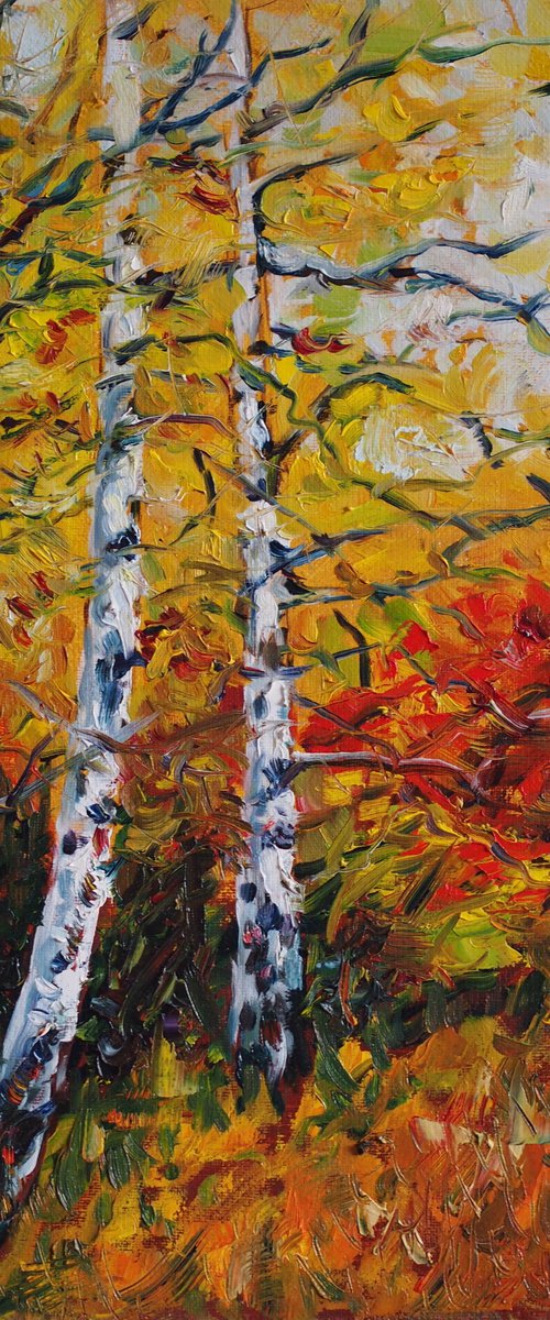 Сolors of fall by Alfia Koral