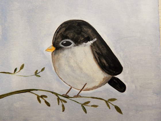 The small bird in black and gray