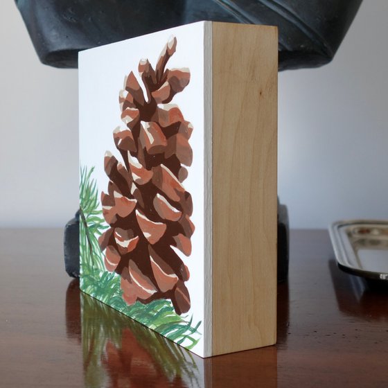 Pine tree cone