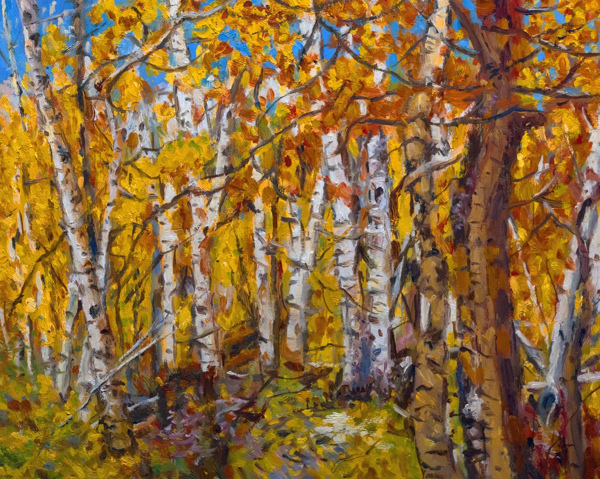 Aspens in Autumn Colors by Daniel Fishback