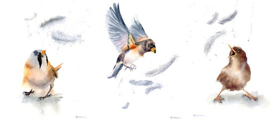 Birds And Feathers - triptych