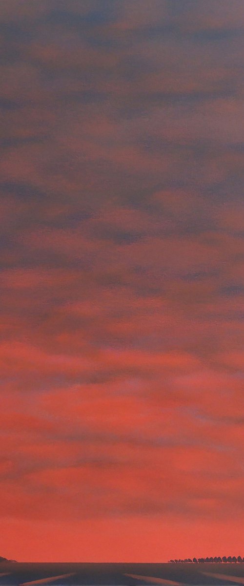 Sunset in Zuid-Beveland (April) by Nelly van Nieuwenhuijzen