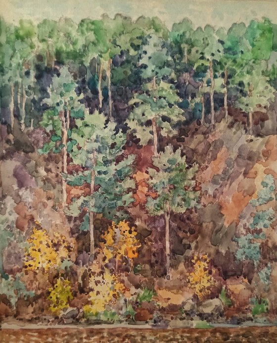 The pine hill