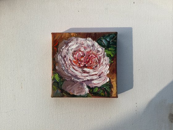 Pink rose original mini still life