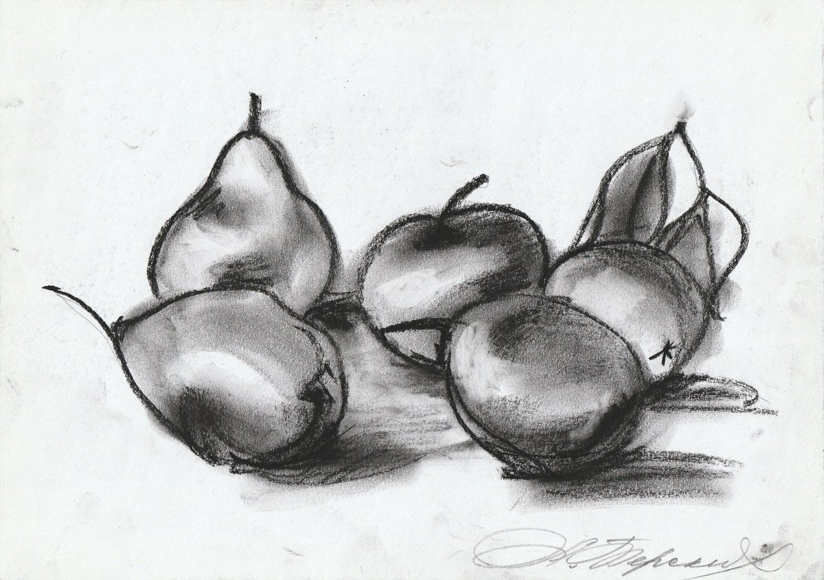 Still Life Charcoal Drawing By Anastasia Terskih, 12 X 8, Pyrus, Original Artwork