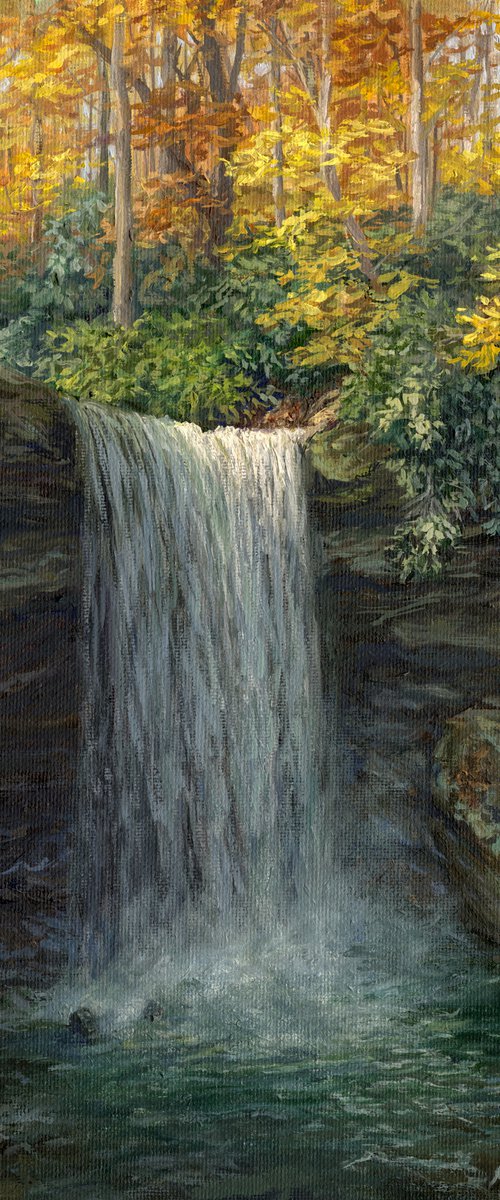 Autumnal Delight at The Falls by Steph Moraca