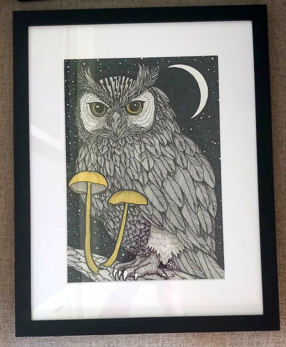 Night Owl