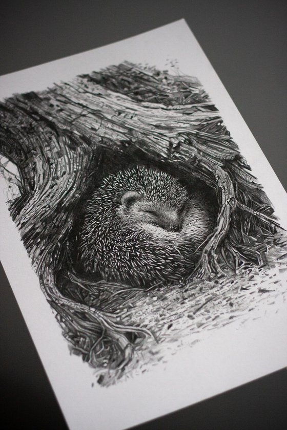 Hedgehog Among the Roots