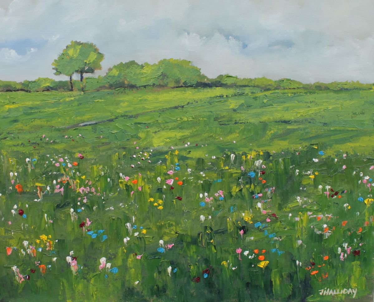Impressionistic Landscape Oil Painting By John Halliday, 20 X 16, Wildflowers, Original Artwork