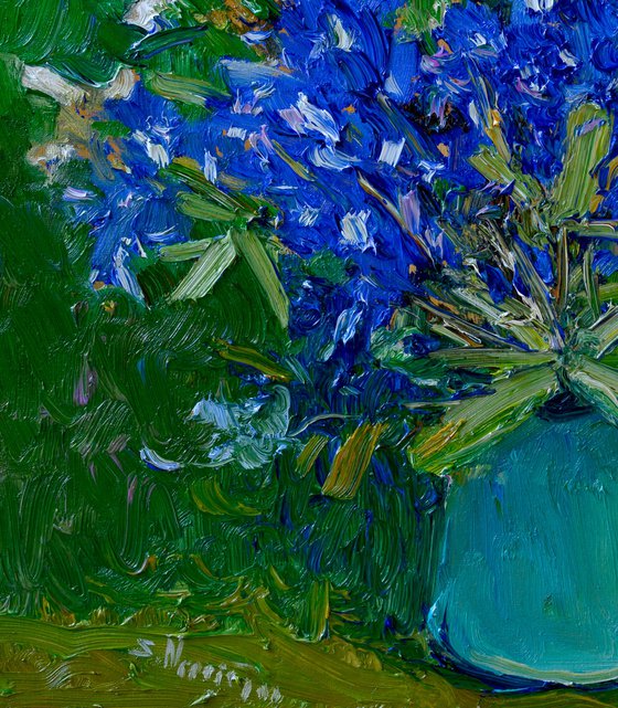 Bluebonnet Flowers
