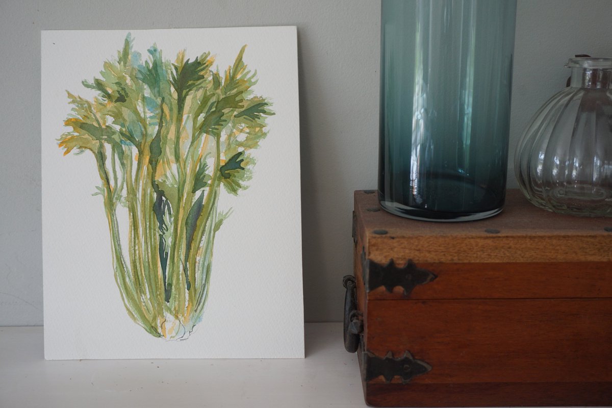 Celery watercolour study by Hannah Clark