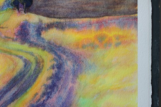 Tuscany, Campi Elisi