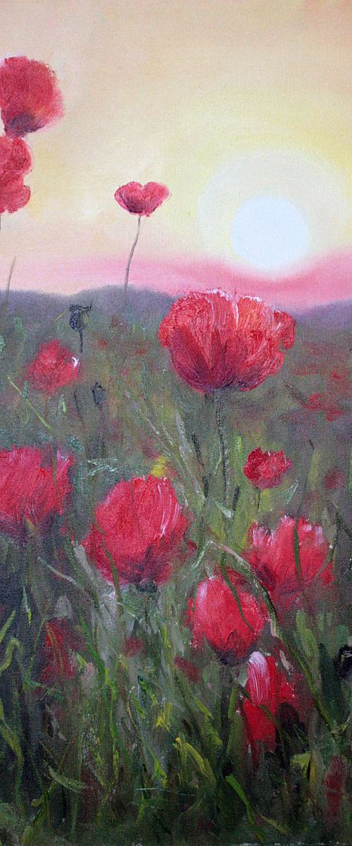 Poppy field by Salana Art Gallery