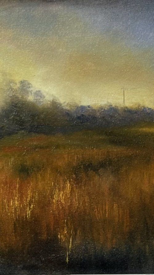 Winter Glow by Paul Ward