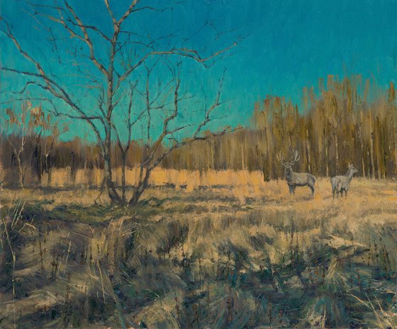 Deer in the Quiet Field