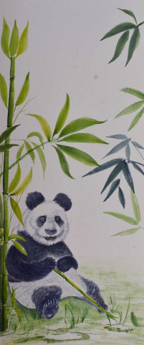 Bamboo with Panda by Neha Soni