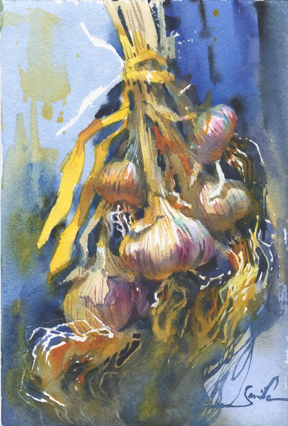 Still life watercolor of Garlic