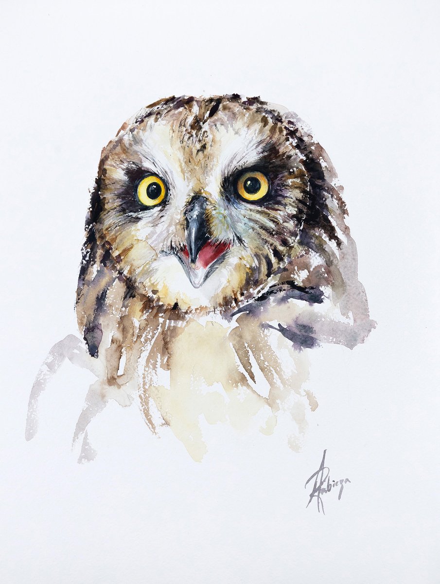 Animal Watercolour By Andrzej Rabiega, 12 X 16, Short-Eared Owl, Original Artwork