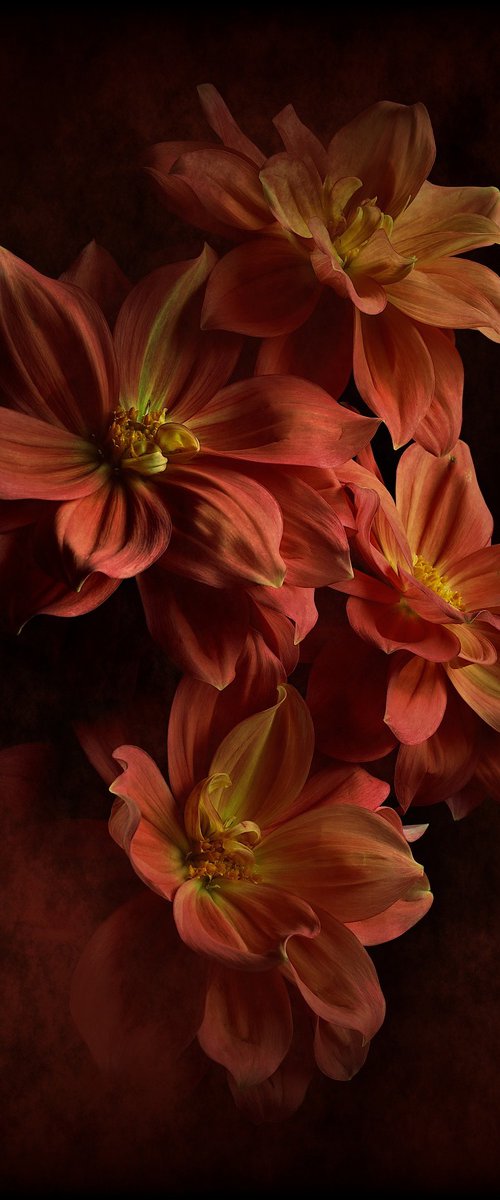 Vermilion Lilies by Nadia Culph