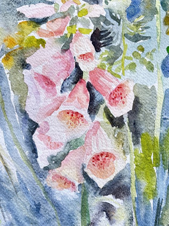 Foxglove and Wildflowers
