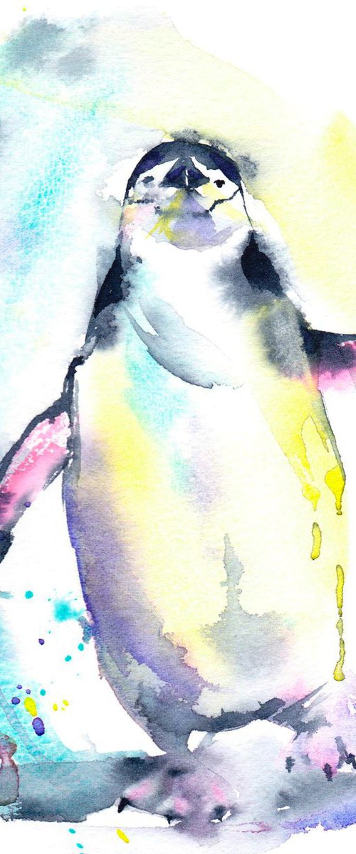 Chinstrap penguin by Anjana Cawdell